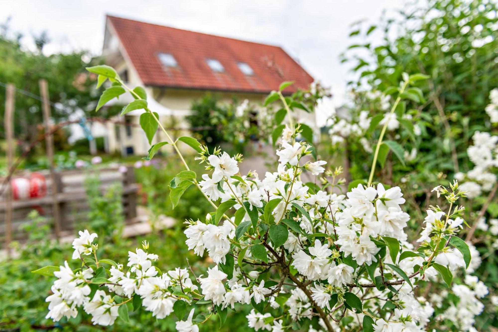 Beutenmuehle Straussenfarm Dach Owingen Buitenkant foto